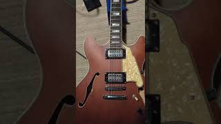 Dangelico premier DC XT guitar demo  stock Seymour Duncan psyclone pickups [upl. by Ark]