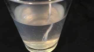 Growing Borax Crystals  Science Fair Experiment [upl. by Assiluj]