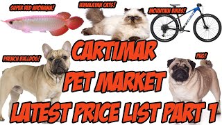 Cartimar Pasay Pet Shop Latest Price List  Dogs Cats Fish Philippines  Part 1 [upl. by Maje]