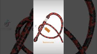 Red Black Kangaroo Leather Whip Bullwhip bantoro [upl. by Curr505]