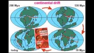 Continental Drift  Evidence [upl. by Asilrahc]