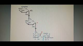 Hydrolyse Enzymatique Des Oses Avec Exercice [upl. by Thorndike415]