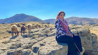 IRAN nomadic life  daily routine village life of Iran  Nomadic lifestyle of Iran [upl. by Tennes123]