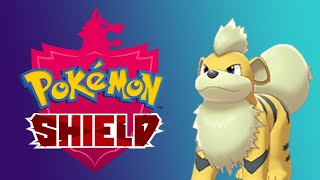 Live Shiny Hunting Growlithe In Pokemon Sword amp Shield [upl. by Hatty28]