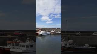 SERENITY III IN SEAHOUSES HARBOUR 2924 [upl. by Hgalehs]