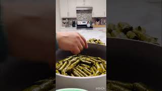 The Art of Stuffed Grape Leaves [upl. by Nilyaj]