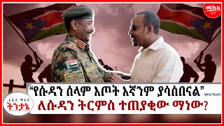 “የሱዳን ሰላም እጦት እኛንም ያሳስበናል”ጠቅላይ ሚኒስትሩ  ለሱዳን ትርምስ ተጠያቂው ማነው  Ethiopia Addis AbebaEthio News [upl. by Orman]