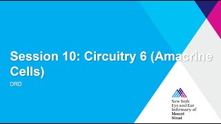 Session 10  Circuitry 6 Amacrine Cells [upl. by Abshier]