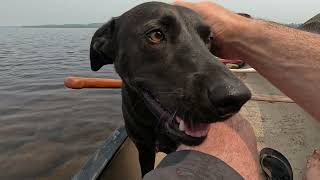 Maine Allagash Wilderness Waterway Solo Backcountry Canoe Camping Ghost Trains Moose [upl. by Frederique63]