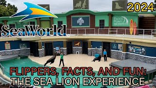 quotFlippers Facts and Fun The Sea Lion Experiencequot FULL SHOW at SeaWorld San Diego 2024 [upl. by Ahsiner]