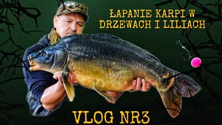 Jak łowić w drzewach  VLOG 3 [upl. by Razec]