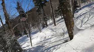 Killington Trees March Dump 2024 [upl. by Idnahk550]