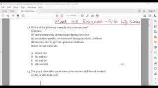 What are enzymesGrade 10 Life Science [upl. by Rains]