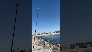 Testing out my Ardito Jitte rod at the jetty with my Avet MXJ MC reel [upl. by Villada]