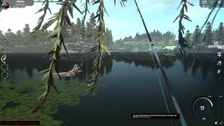 Professional Fishing Tutorial 11 How to catch Zander on the second map [upl. by Pilloff]