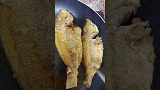 🌈 LETS FRIED FISH yummy cravings asmr satisfying trending shorts fish [upl. by Aronas306]