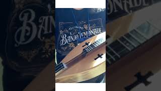 👀 Ebony fretboard  Dulcimer Festival Demo  Mountain Dulcimer [upl. by Arodaeht440]