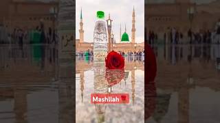 chal chalia madine nomashallah  YouTube for you sialkotvlog [upl. by Emlin]