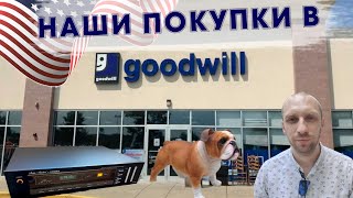 Идём в магазин Goodwill Барахолка в Америке  Большой выбор и низкие цены  Товары для дома  США [upl. by Aldas]