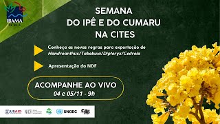 Semana do Ipê e do Cumaru na CITES 04112024 [upl. by Banquer]