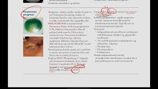 Pseudomonas Aeruginosa  Microbiology  21  First Aid USMLE in UrduHindi [upl. by Holli]