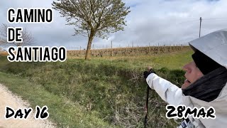 Ledigos to Bercianos del Real Camino…Half way [upl. by Skilken]