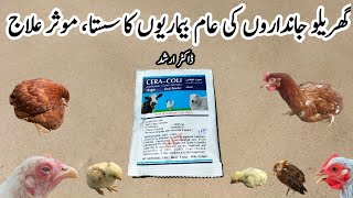 Common Chicken Diseases and Treatment you should know  Dr ARSHAD [upl. by Chamberlin]