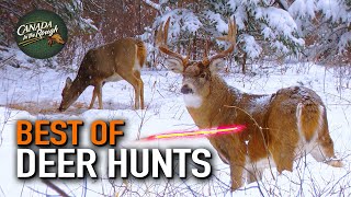 25 Deer Hunts Under 15 Minutes ULTIMATE Deer Hunting Compilation  BEST OF [upl. by Neih429]