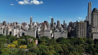 Central Park NYC [upl. by Eugenius]