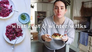 WHAT I EAT IN A DAY AS A VEGAN THIS WINTER  Vlogmas Day 7 🌲 [upl. by Ressler810]