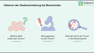 Welche Stadien gibt es bei Blasenkrebs Experte informiert [upl. by Tillie]