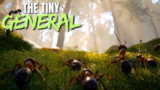 Insect warfare is just as fierce 🐜🪲 Empire of the ants lets play [upl. by Chase]