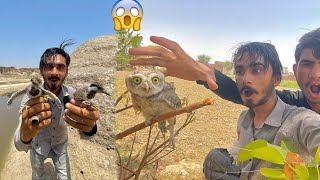 Nayab Bird Ke Bache Pakar Leay 😊Aur Owl Baby Ko Rescue Kar Lea😍 [upl. by Nnaeus]