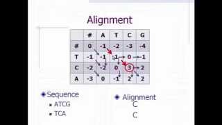 Global Alignment BioInformatics [upl. by Notgnillew]