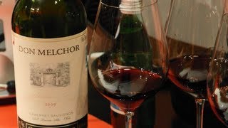 Don Melchor de Concha y Toro [upl. by Tomchay]