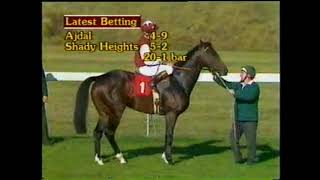 1986 Dewhust Stakes Newmarket [upl. by Tiffie]