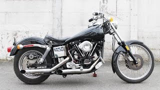 1981 FXS HARLEY DAVIDSON SHOVELHEAD [upl. by Esorlatsyrc752]