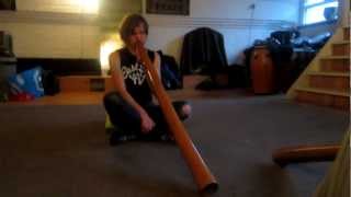 Fast Didgeridoo Wobble Lies Beijerinck at the WMSA [upl. by Ilrahc]