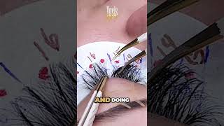 Focus on Direction and Placement eyelashextensions eyelash [upl. by Onibag]