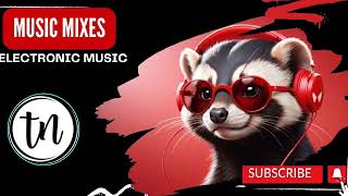 Music remixes  ncs ncs nocopyrightmusic electronicmusic houseremix partymix [upl. by Einner201]