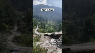 Tosh Village Kasol  Himachal Pradesh toshvillage kasol ytshortsindia [upl. by Ellek]