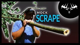 Planting a Mock Scrape Tree in the Food Plot  Hunting Vlog [upl. by Aseiram]