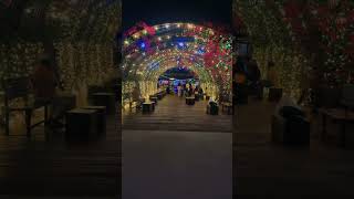 Al khawaneej Park dubai shortfeed viral [upl. by Leihcar]