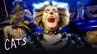 The Battle of Pekes and the Pollicles Part 1  Cats the Musical [upl. by Mayer]