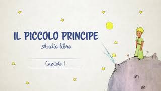 IL PICCOLO PRINCIPE di Antoine de SaintExupéry  Capitolo 1  Audiolibro [upl. by Littman124]