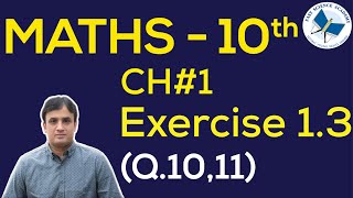 Maths Class 10 CH 1 Ex 13 Q 10 11 By Reciprocating equation [upl. by Nitsa676]