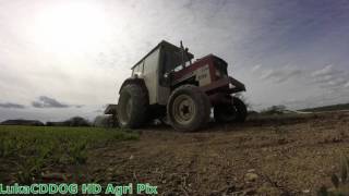 Plantation de Pommes de Terre 2016  International Harvester amp Roger GoPro [upl. by Odlanier]