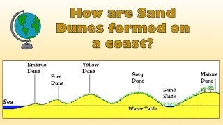 How are Sand Dunes formed on a coast  Labelled diagram and explanation [upl. by Sadnac]