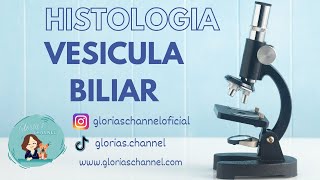 Histología para Medicina Vesícula biliar [upl. by Cacie]