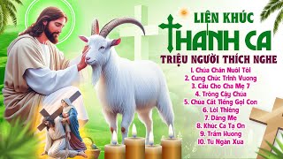 Tuyển Tập 40 Ca Khúc Thánh Ca Đặc Biệt Triệu Người Thích Nghe  Chúa Chăn Nuôi Tôi Cầu Cho Cha Mẹ [upl. by Gwenneth]